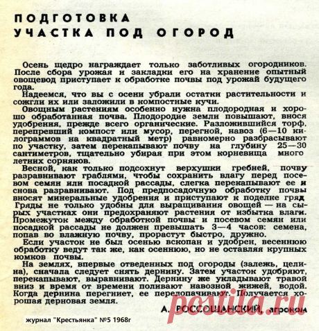 Подготовка участка под огород