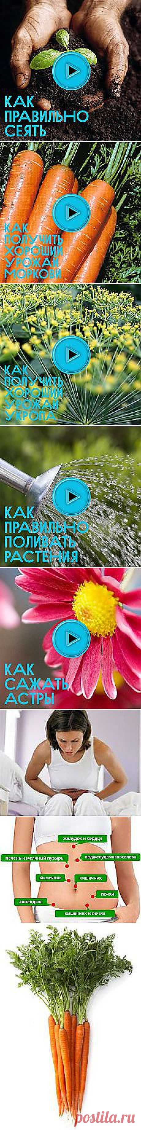 валя Букур: тяпка | Постила.ru