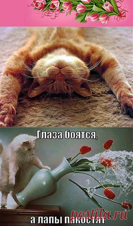 (1) Одноклассники