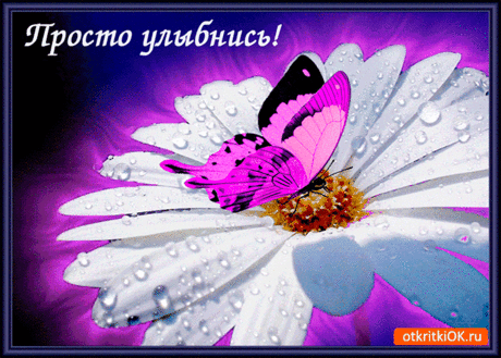 Улыбнись! Я желаю тебе прекрасного настроения! — Бесплатные поздравления