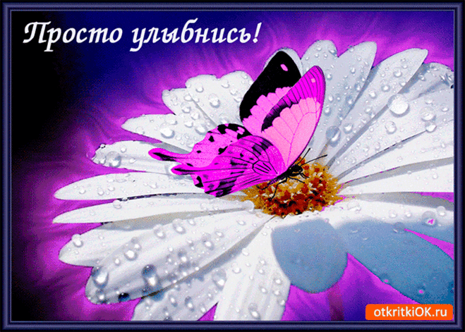 Улыбнись! Я желаю тебе прекрасного настроения! — Бесплатные поздравления