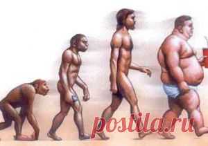 Эпидемия ожирения