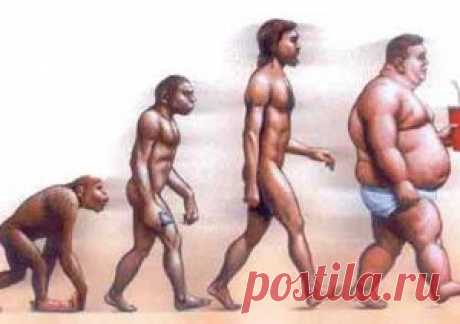 Эпидемия ожирения