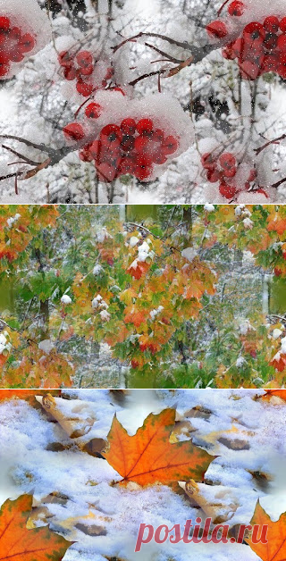 Фоны, картинки, коллажи: Немного снега...