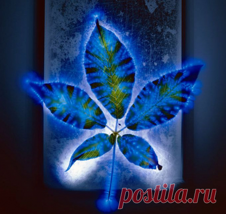 Информационное излучение