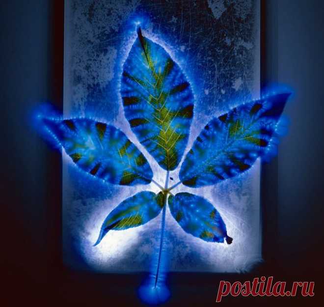 Информационное излучение