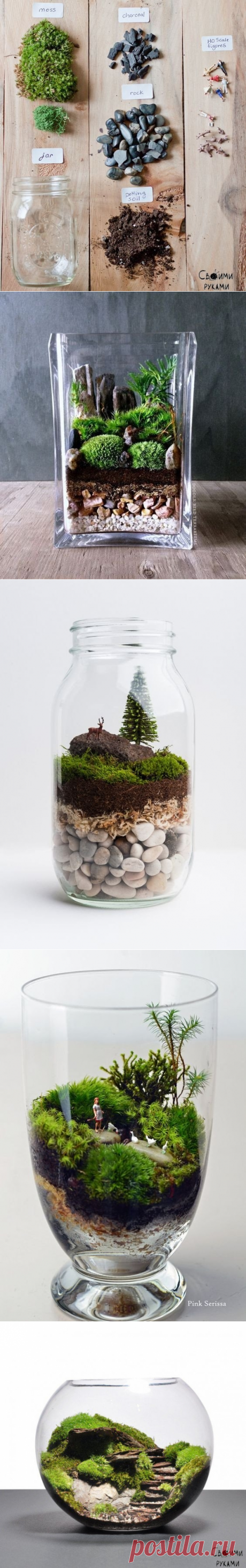 Флорариум своими руками. Идеи.