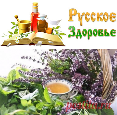 Эффективные сборы трав от гипертонии