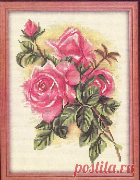 The pattern for cross stitch roses. Embroidery roses scheme free |