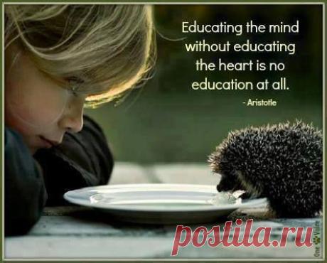 Wake Up World - Timeline Photos