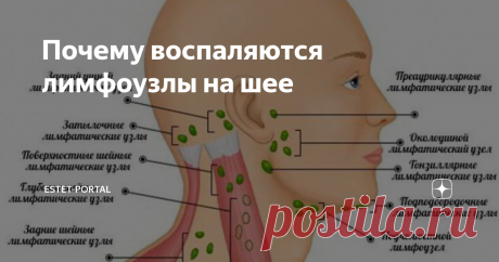 Почему воспаляются лимфоузлы на шее Часто как взрослые, так и дети обнаруживают на шее болезненные выпуклости, которых там быть не должно. Так проявляют себя воспаленные лимфоузлы, которые у каждого человека расположены во многих местах, в том числе и на шее. Стоит ли сразу же обращаться к врачу, если вы обнаружили, что воспалился лимфоузел на шее? В чем могут быть причины этого явления и чем оно грозит?
