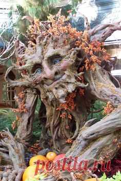 (910) Pinterest