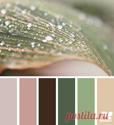 for all who ❤ color | color dew