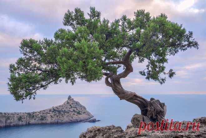 Квартиры в Крыму от застройщика по доступным ценам