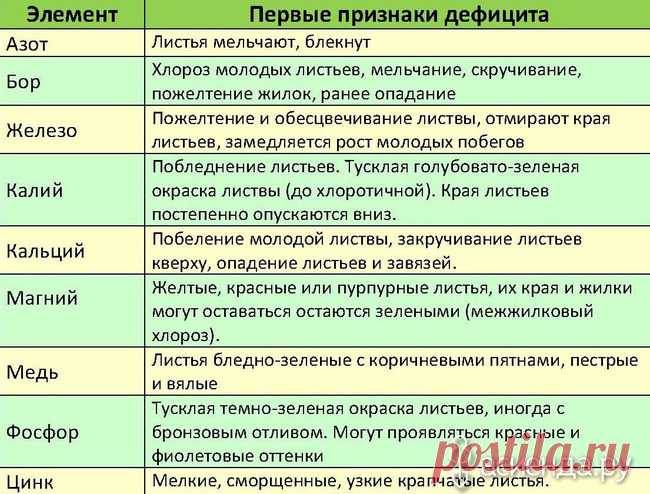 Медный и железный купорос: особенности применения / Асиенда.ру