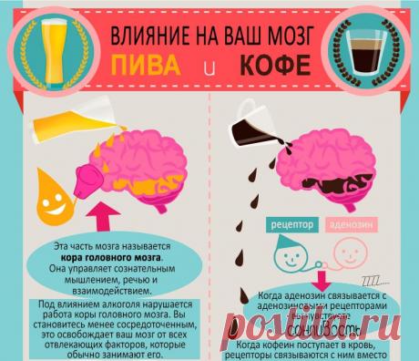 полезные советы инфографика: 4 тыс изображений найдено в Яндекс.Картинках