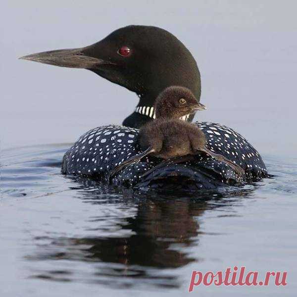 Фотографии, которые стоит увидеть всем!