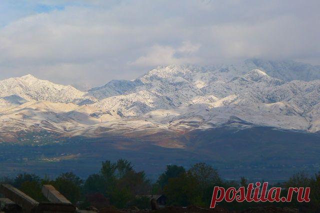 Гафур Шерматов
54 года, Таджикистан, Душанбе