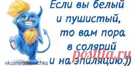 слова