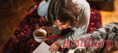 Собаки давно превратились в наших друзей, а не только в помощников, охранников или спасателей. Питомцы — и домашние, и служебные — регулярно доказывают свою верность и преданность людям, выручая в самых трудных жизненных ситуациях. И иногда даже получают за это награды. #полезнознать #интересныефакты #антистресс