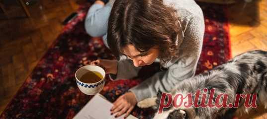 Собаки давно превратились в наших друзей, а не только в помощников, охранников или спасателей. Питомцы — и домашние, и служебные — регулярно доказывают свою верность и преданность людям, выручая в самых трудных жизненных ситуациях. И иногда даже получают за это награды. #полезнознать #интересныефакты #антистресс