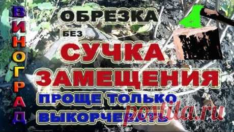 Обрезка без СУЧКА ЗАМЕЩЕНИЯ. Проще только ВЫКОРЧЕВАТЬ. Серия 4.