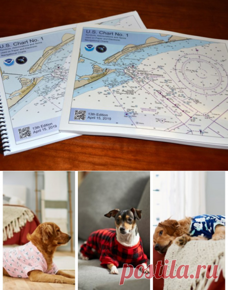 Allow Me To Introduce Everyone’s Next Obsession: Pet Pajamas Exist And Every Pet Needs Some - boat
