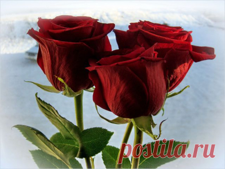 getImage (640×480)