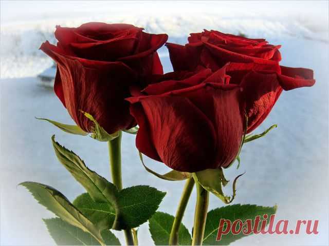 getImage (640×480)
