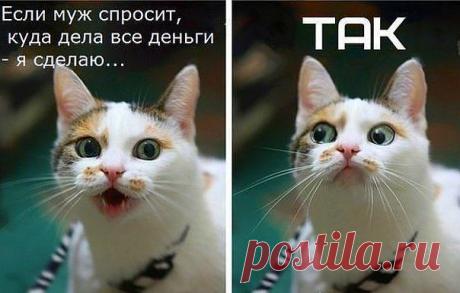 Вам и не снилось...
Ольга Погодина