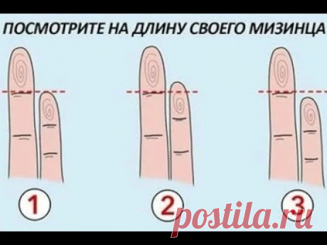 Ваш мизинец может рассказать о вас больше чем вы думаете