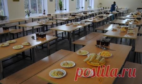 ОНФ и Минпросвещения изучат пищевые привычки школьников | Семья и ребенок