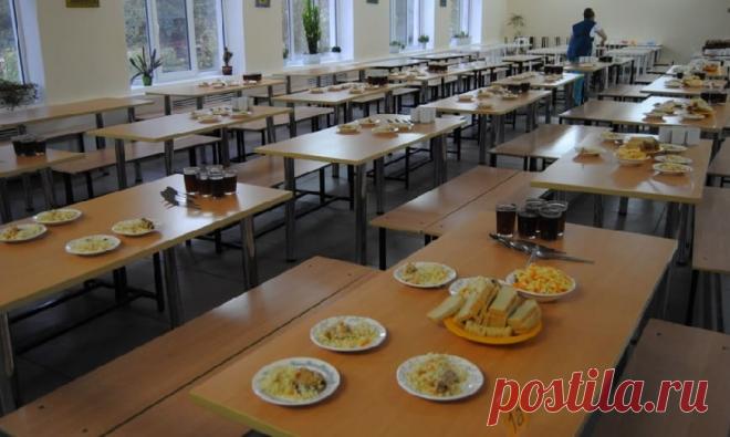 ОНФ и Минпросвещения изучат пищевые привычки школьников | Семья и ребенок