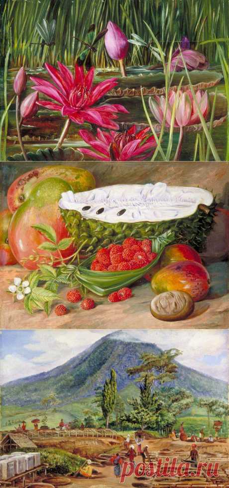 Marianne North (1830 - 1890) – талантливая английская художница викторианской эпохи. .