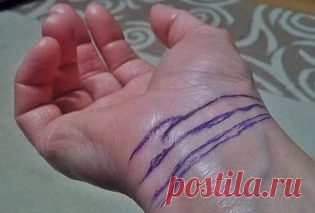 Что говорят о судьбе человека линии на запястье / Мистика
