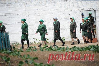 В СПЧ отметили тенденцию увеличения срока для осужденных женщин в России. Рекордный для женщин в России приговор в 27 лет заключения, полученный террористкой Дарьей Треповой (внесена в перечень террористов и экстремистов Росфинмониторинга), свидетельствует о наметившейся в стране тенденции на увеличение сроков. Такое мнение высказала член Совета по правам человека (СПЧ) Ева Меркачева.