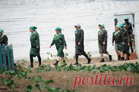 В СПЧ отметили тенденцию увеличения срока для осужденных женщин в России. Рекордный для женщин в России приговор в 27 лет заключения, полученный террористкой Дарьей Треповой (внесена в перечень террористов и экстремистов Росфинмониторинга), свидетельствует о наметившейся в стране тенденции на увеличение сроков. Такое мнение высказала член Совета по правам человека (СПЧ) Ева Меркачева.