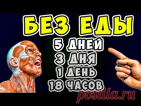 5 Дней БЕЗ ЕДЫ! Вот что ТВОРИТСЯ с Телом уже через 18 часов...