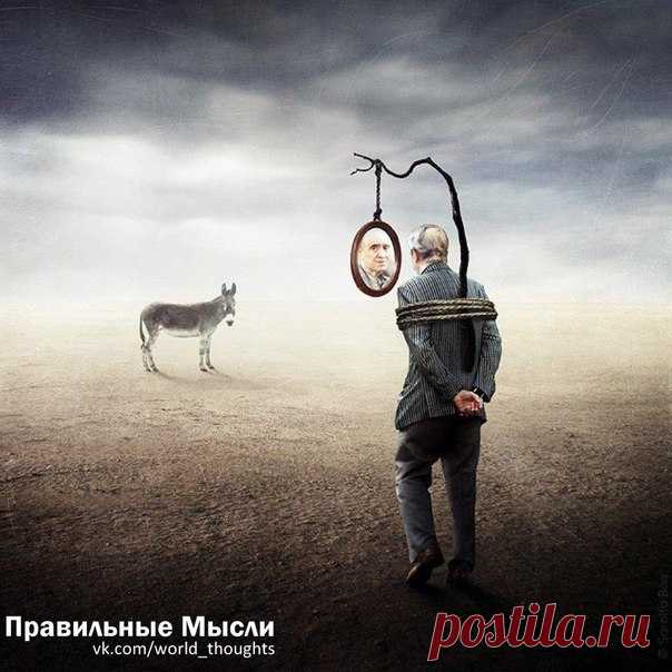 Бывают такие люди, которых лучше не исправлять и ничего им не советовать и тем более не доказывать... От них просто надо быть подальше! Их самоуверенность в их неотразимости и исключительности сама сыграет с ними злую шутку - ведь это их иллюзия! / Восприятие бизнеса