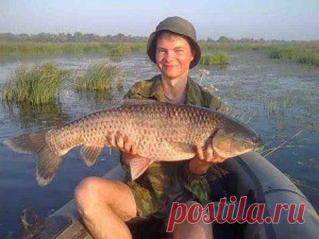 Монтаж снасти для ловли карпа на илистом дне