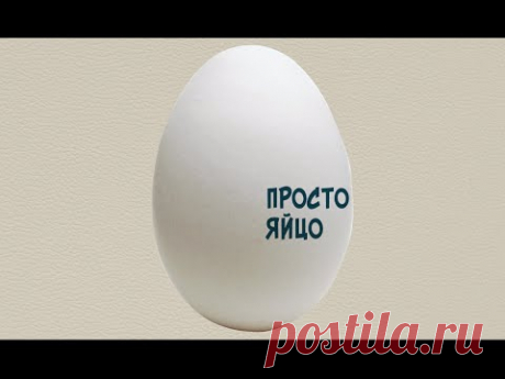 ЕХперименты. Просто яйцо