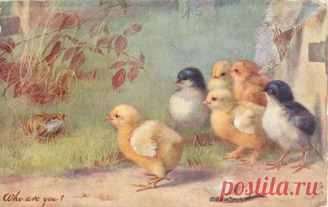 Найдено на сайте tuckdb.org.