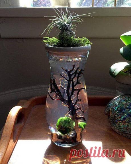 Миниатюрный аквариум как элемент декора ~ Planetalsad