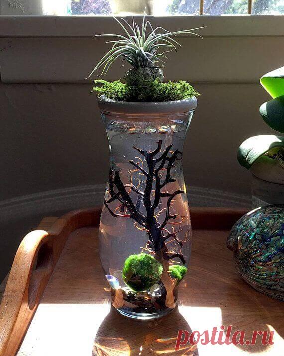 Миниатюрный аквариум как элемент декора ~ Planetalsad