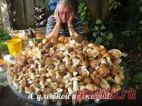 (48) Одноклассники