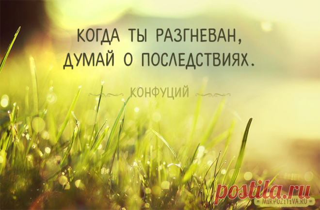 Мудрость жизни в цитатах и высказываниях Конфуция