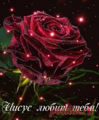image (339×411)