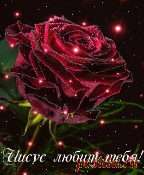 image (339×411)