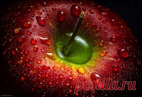 Fruit in Photography: Delicious and Creative Examples - Stockvault.net Blog