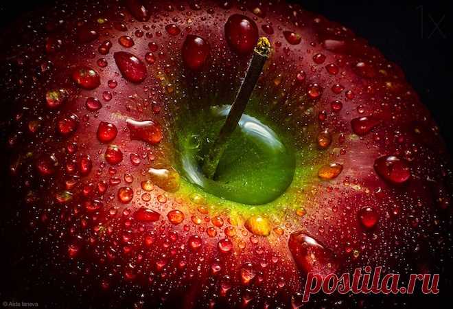 Fruit in Photography: Delicious and Creative Examples - Stockvault.net Blog